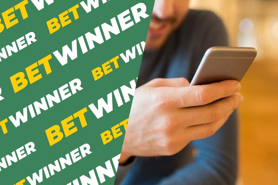 تحميل بيت وينر - كل ما تحتاج لمعرفته حول تطبيق بيت وينر تحميل بيت وينر - كل ما تحتاج لمعرفته حول تطبيق بيت وينر